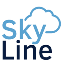 SkyLIne ERP SaaS (Pro) image