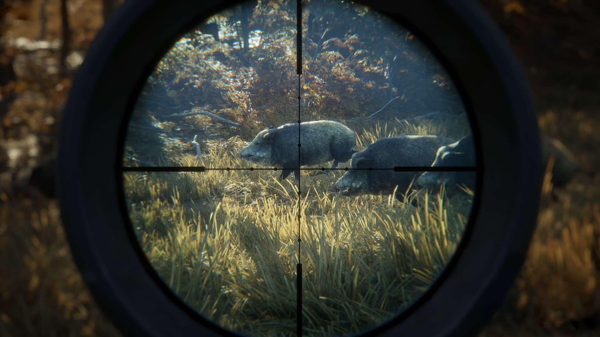 Thehunter call of the wild. Call of the Wild игра. THEHUNTER Call of the Wild на пс4. The Hunting Call of the Wild.