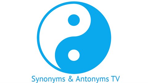 The Synonyms and Antonyms Game (Xbox version)