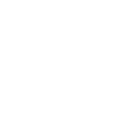 ElMoudjahid