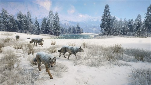 theHunter Call of the Wild™ - Alberta Hunting Preserve