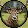 Deer Hunting: Animal Hunter 2019