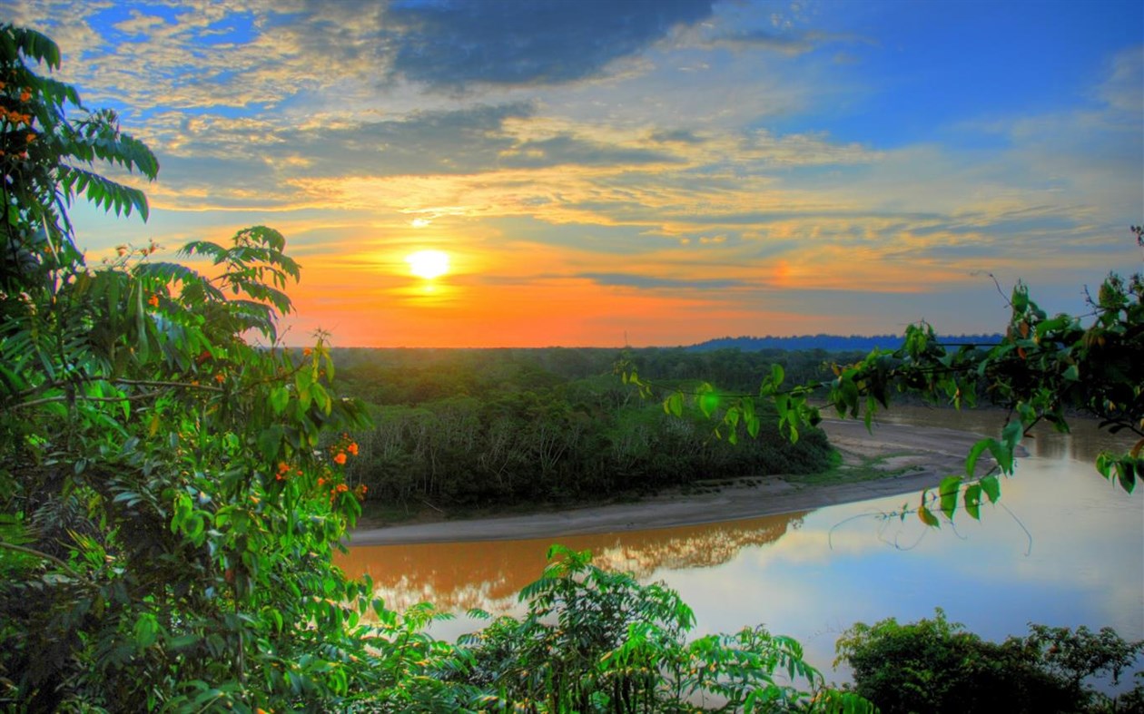 #1. Amazon Rainforest (Windows) Podle: Microsoft Corporation