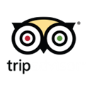 TripAdvisor Hotels Flights Restaurants