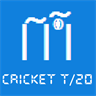Cricket T 20