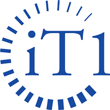 iT1's Security Assessment image