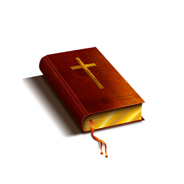 NIV Audio Bible