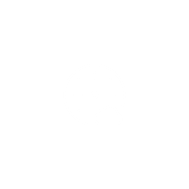 Project Hours