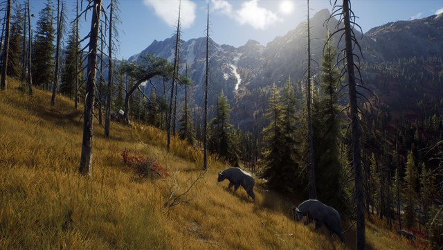 Way of the Hunter: Map Pack 1 screenshot 4