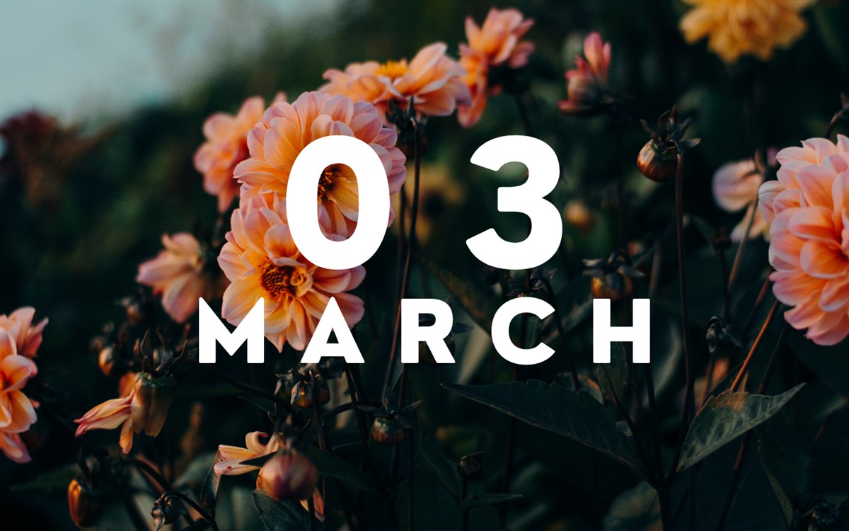 March Flower Wallpaper New Tab