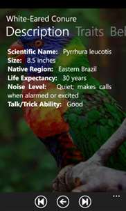 Parrot Species screenshot 3