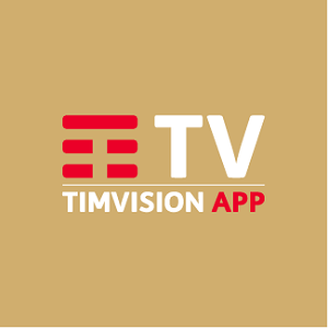 TIMvision