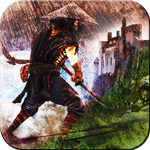 Samurai Warrior Assassin 2015