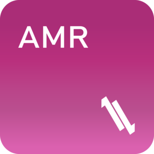 LL AMR Converter Pro