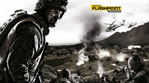 Operation Flashpoint: Dragon Rising Skirmish Pack