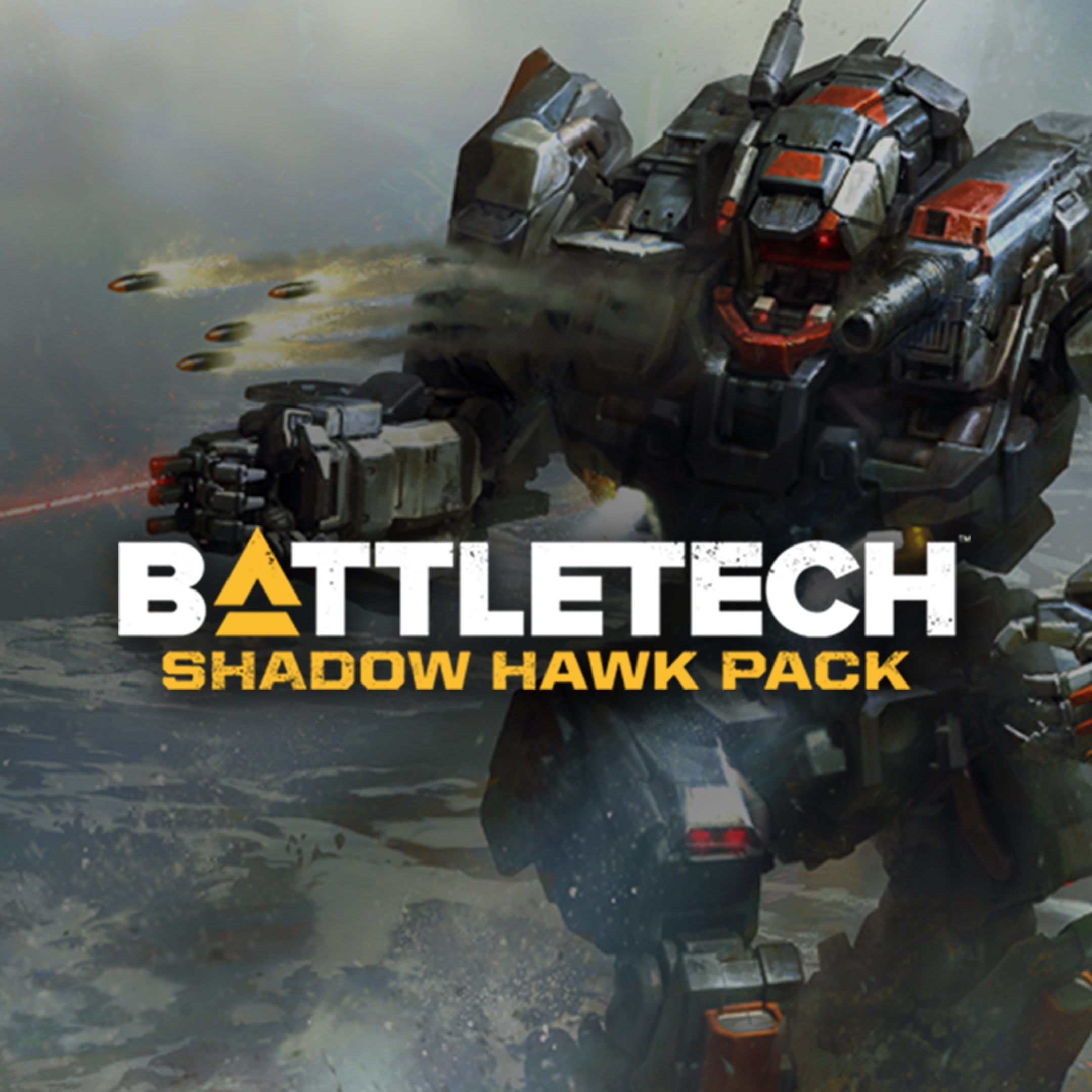 BATTLETECH - Shadow Hawk Pack