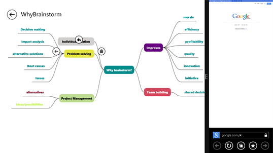 Mindmap Professional for Windows 10 PC Free Download