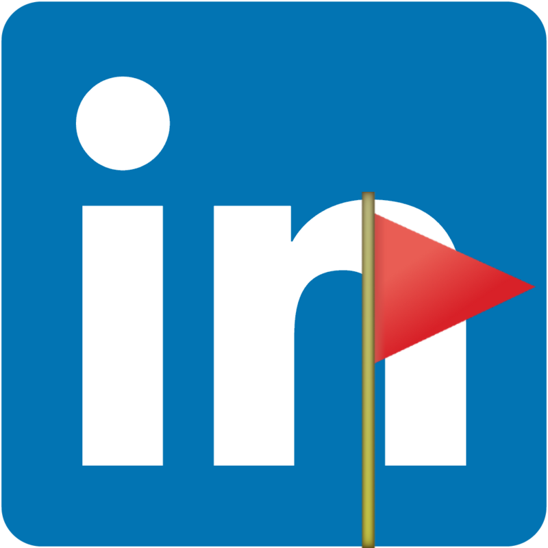 Linkedin Companies Flags