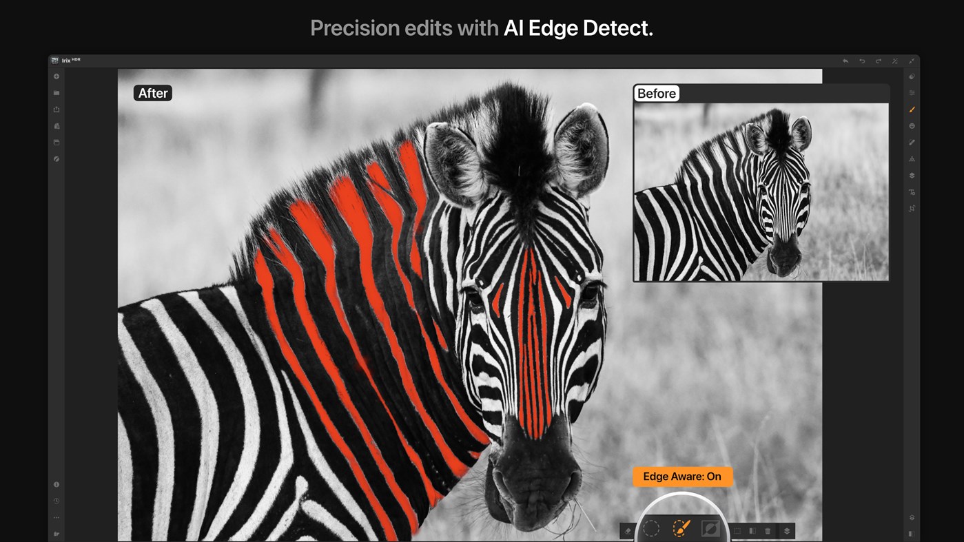 #9. Irix HDR Pro - AI Photo Editor (Windows) By: Binaire Private Limited