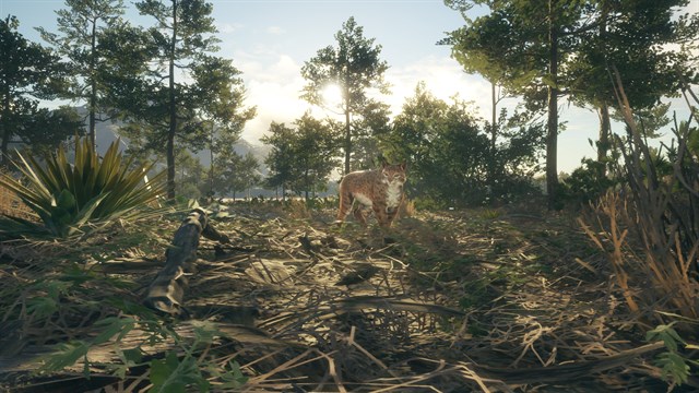 theHunter Call of the Wild - Rancho del Arroyo - Windows 10 screenshot 2
