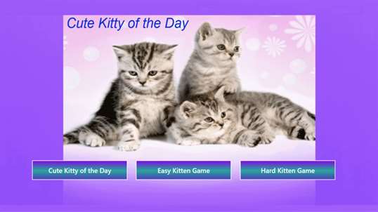 Cute Kitty of the Day screenshot 1