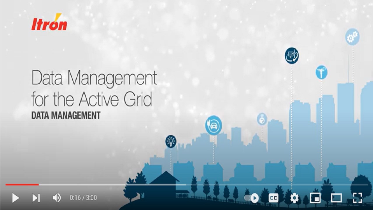 Snapshot 1 of Itron Enterprise Edition Meter Data Management