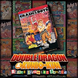 Aperçu Crash 'n the Boys Street Challenge