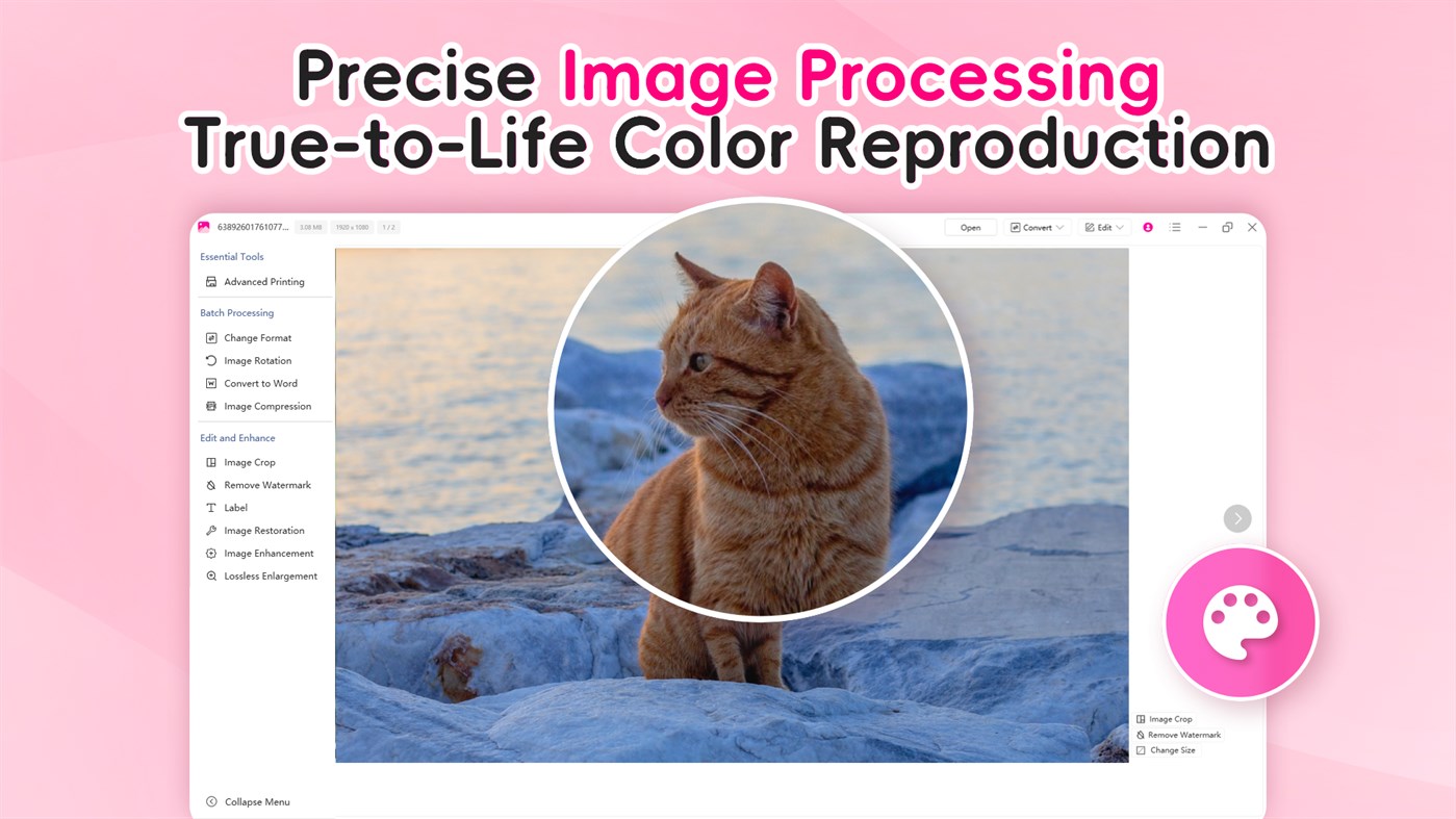 #1. Photo Image Viewer (Windows) 由: Wuhan Net Power Technology Co., Ltd