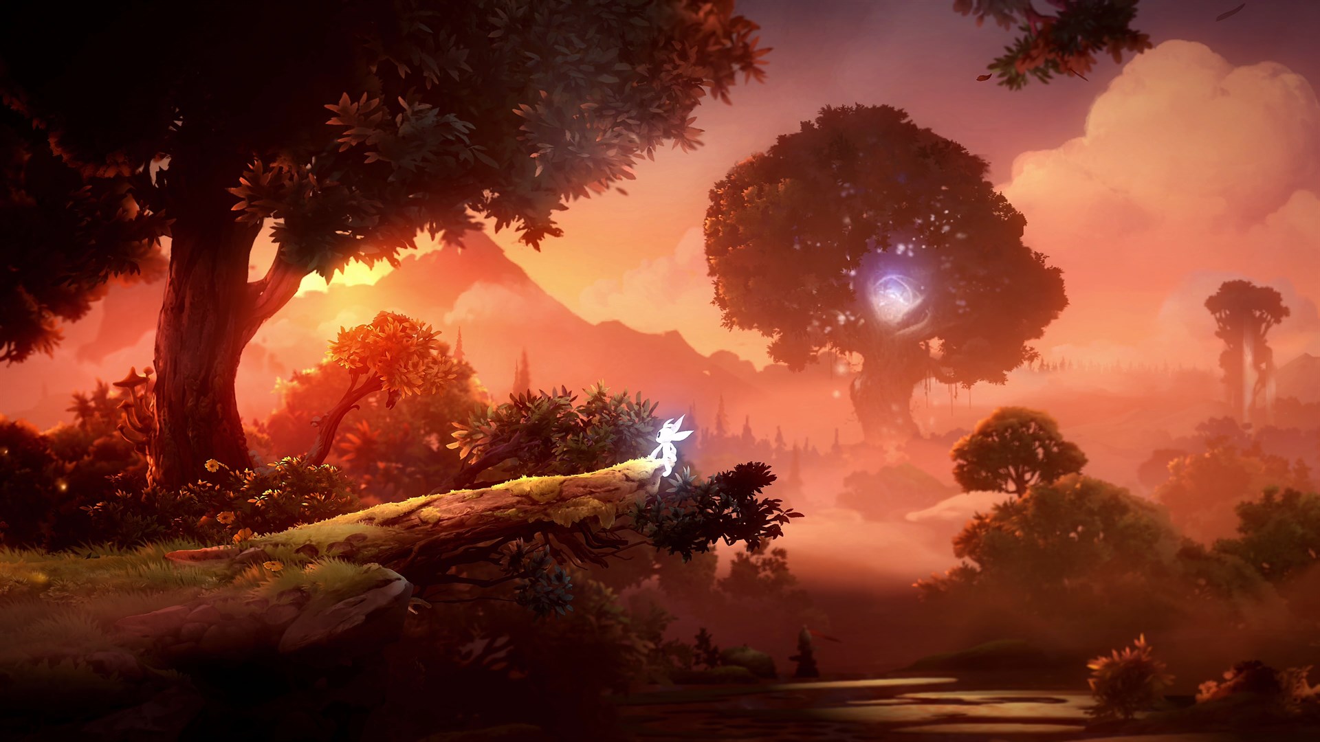 Screenshot 2 from Ori and the Will of the Wisps
