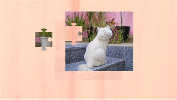 Jigsaw Puzzle Cats 2 — 4