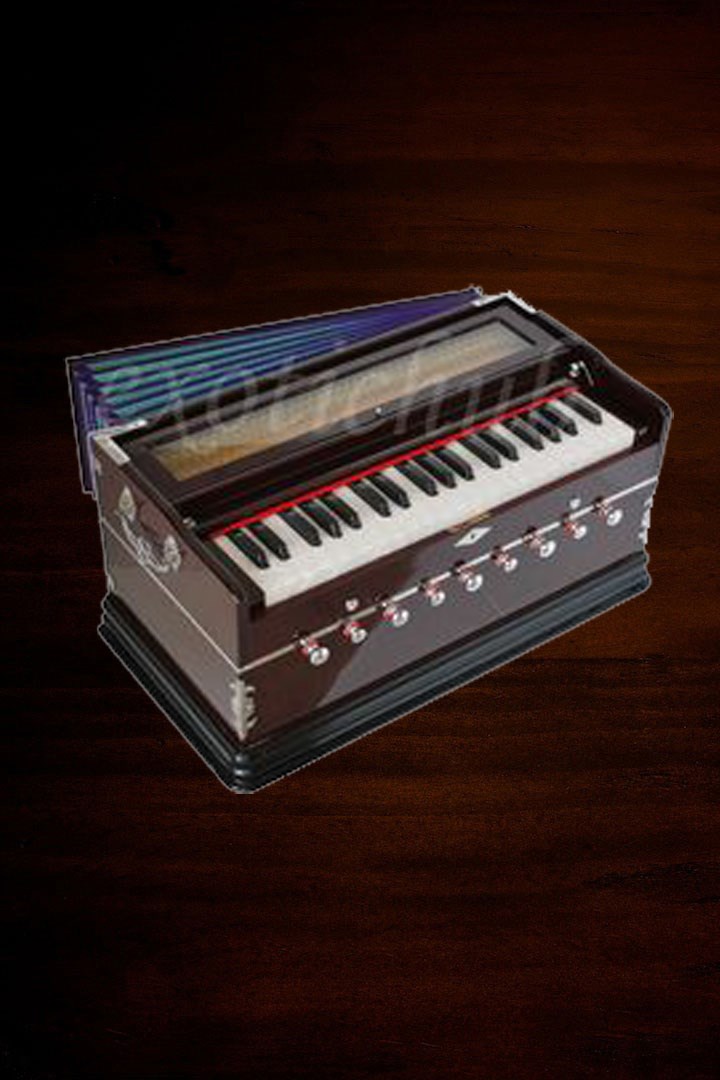 SaReGaMa With Harmonium