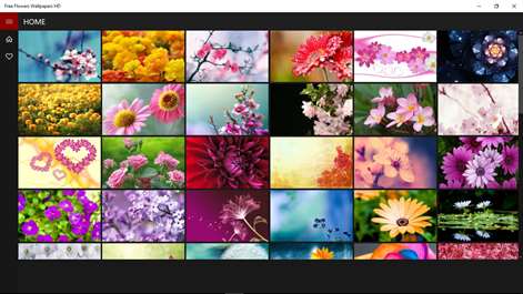 Free Flowers Wallpapers HD Screenshots 1