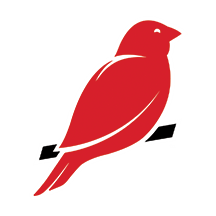 Canary Deployments logo