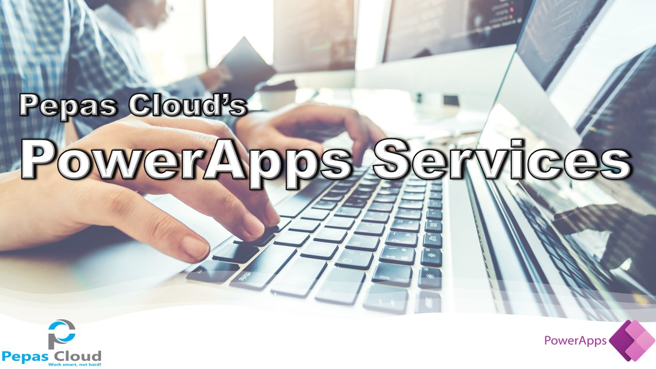 Snapshot 1 of PowerApps Services: 1-month Implementation