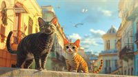 Little Strays - Beyond Havana