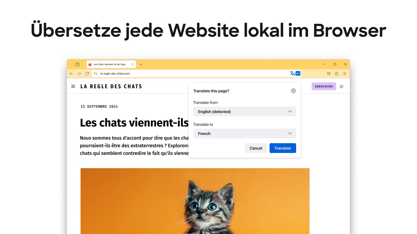 Mozilla Firefox Screenshot