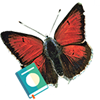 Butterflies of Greece - The Book