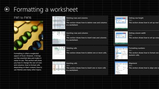 Video training Excel 2013 screenshot 3