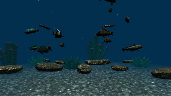 Fish Tank — 3