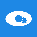 Show Password Field icon