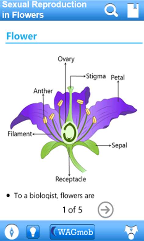 Grade 12 Biology Screenshots 2