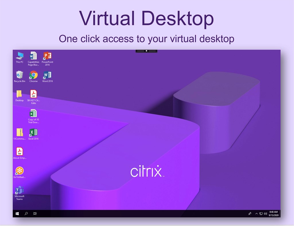 Citrix workspace windows