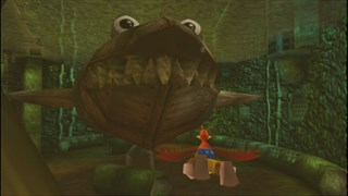 Banjo-Kazooie screenshot 2