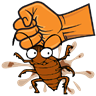Kill The Cockroach