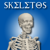 Skeletos