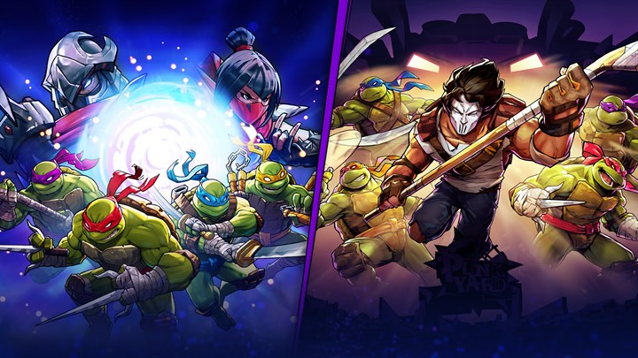 TMNT: Splintered Fate and Casey Jones
