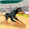 Greyhound K9 Dog Racing Sprint