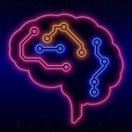 Aperçu NeuroBloxs
