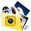 Photo Perfect