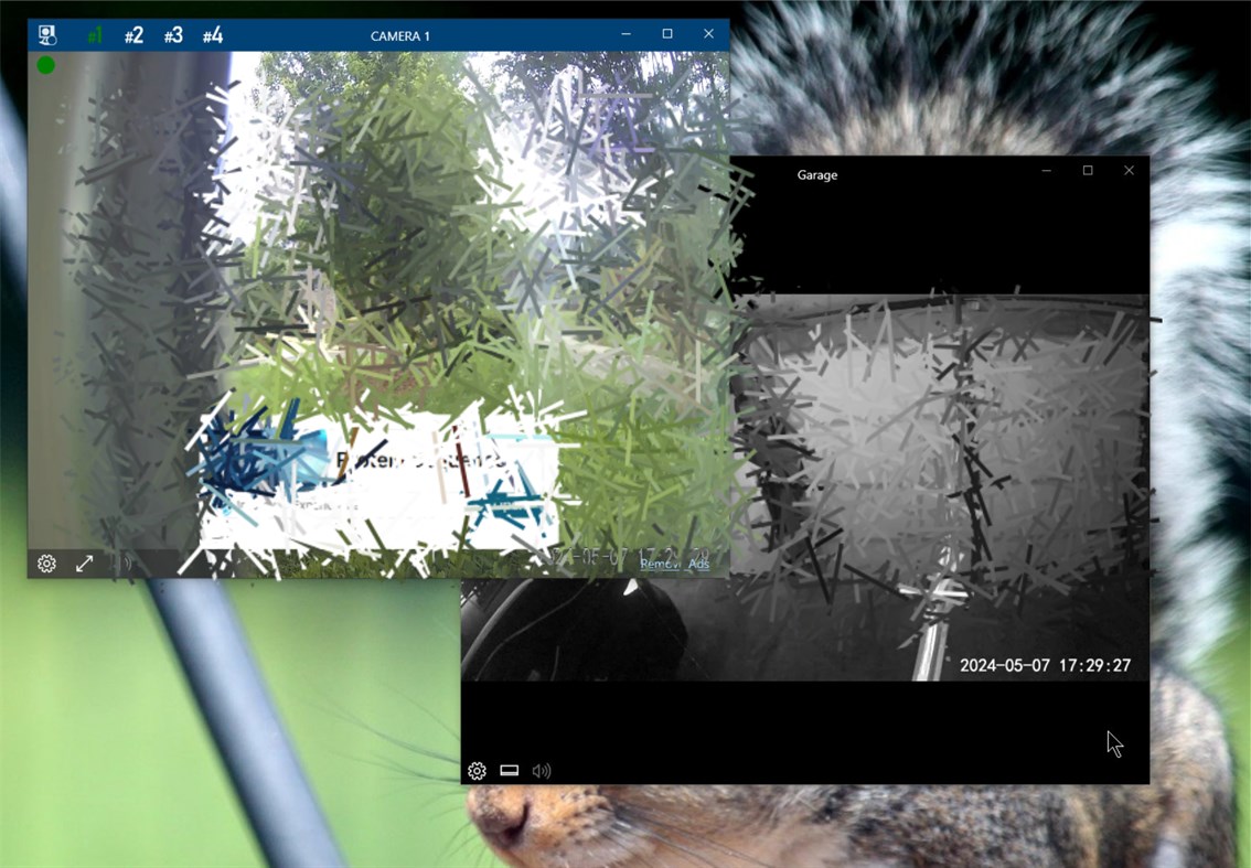 #3. RTSP Client for Wyze Free (Windows) 由: Ciro